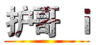 护哥  ｉ ()