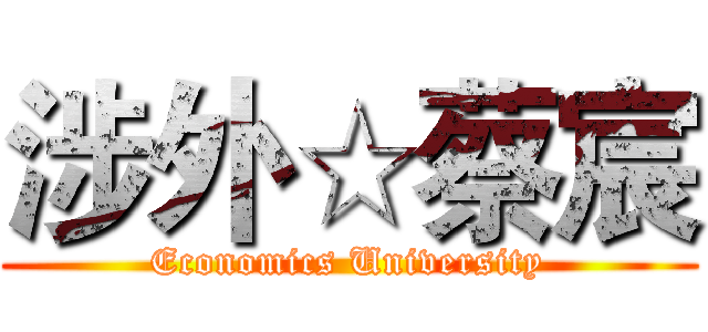 涉外☆蔡宸 (Economics University)