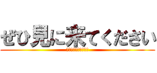 ぜひ見に来てください (時間あんまわかんない)