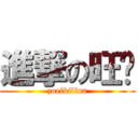 進撃の旺财 (zoelkillua)