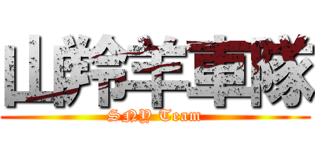 山羚羊車隊 (SNY Team)