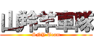山羚羊車隊 (SNY Team)