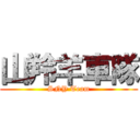 山羚羊車隊 (SNY Team)