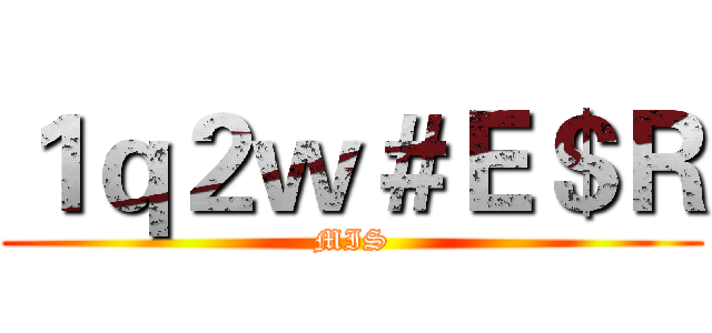 １ｑ２ｗ＃Ｅ＄Ｒ (MIS)