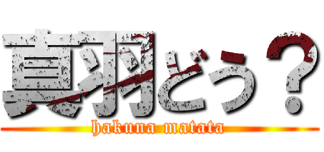 真羽どう？ (hakuna matata)