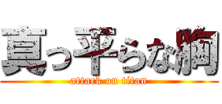 真っ平らな胸 (attack on titan)