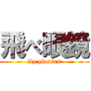 飛べ眼鏡 (fly glasses)