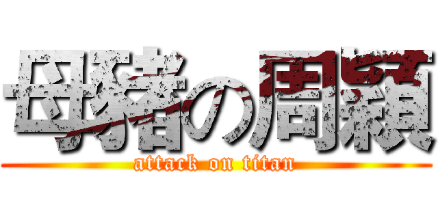 母豬の周穎 (attack on titan)