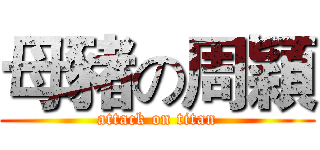 母豬の周穎 (attack on titan)