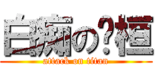 白痴の瑋桓 (attack on titan)