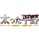 太った平野 ()