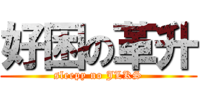 好困の革升 (sleepy no JLKS)