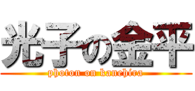 光子の金平 (photon on kanehira)