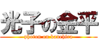 光子の金平 (photon on kanehira)