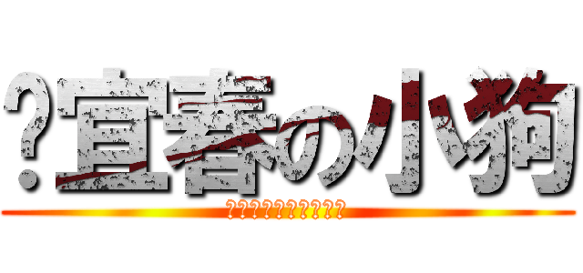 张宜春の小狗 (あなたは私のものです)