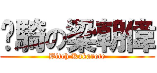 帕騎の梁朝偉 (Bitch Kakarote)