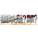 猫娘是爱屎哔 (qianyiwen is SB)