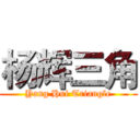 杨辉三角 (Yang Hui Triangle)