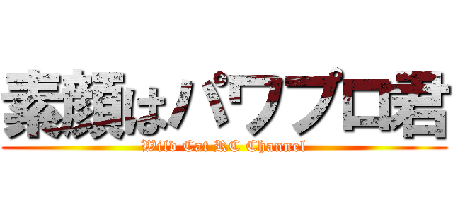 素顔はパワプロ君 (Wild Cat RC Channel)