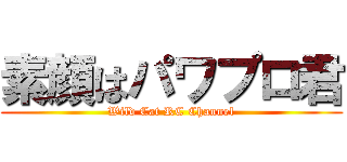 素顔はパワプロ君 (Wild Cat RC Channel)