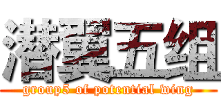潜翼五组 (group5 of potential wing)
