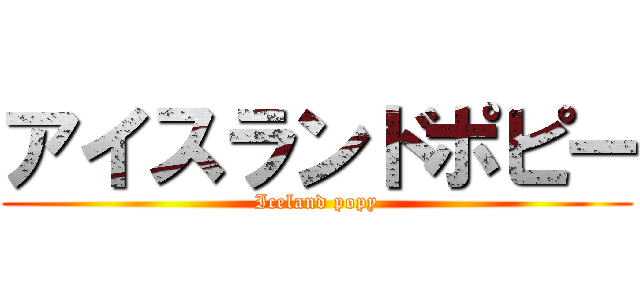 アイスランドポピー (Iceland popy)