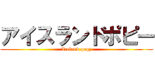 アイスランドポピー (Iceland popy)