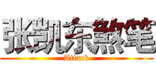 张凯东煞笔 (Attack)