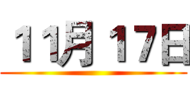 １１月１７日 ()