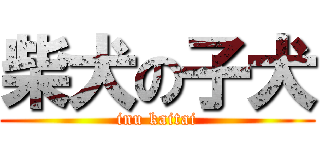 柴犬の子犬 (inu kaitai)