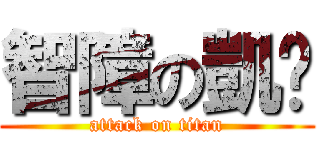 智障の凱咪 (attack on titan)