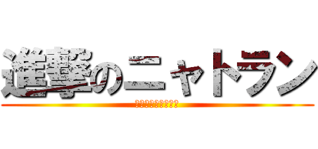 進撃のニャトラン (野良猫から飼い猫へ)