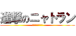 進撃のニャトラン (野良猫から飼い猫へ)