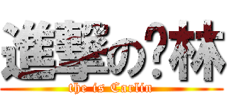進撃の卡林 (the is Carlin)