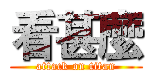 看甚麼 (attack on titan)
