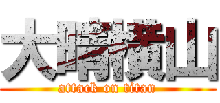 大晴横山 (attack on titan)