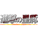 進撃の皇豚 (attack on japs)