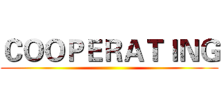 ＣＯＯＰＥＲＡＴＩＮＧ ()