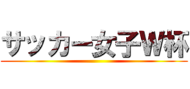 サッカー女子Ｗ杯 ()