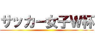 サッカー女子Ｗ杯 ()