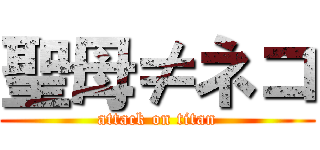 聖母≠ネコ (attack on titan)