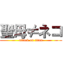 聖母≠ネコ (attack on titan)