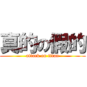 真的の假的 (attack on titan)