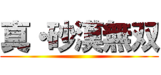 真・砂漠無双 ()