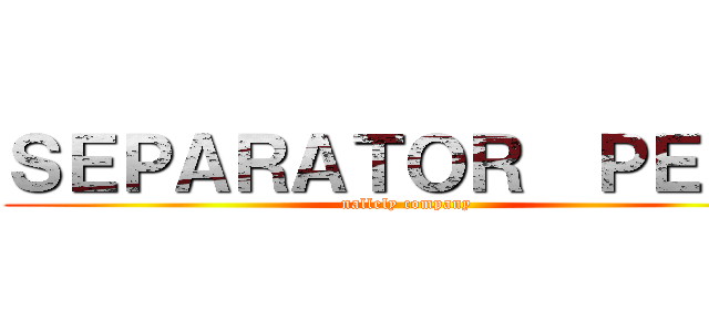 ＳＥＰＡＲＡＴＯＲ  ＰＥＮＳ (nallely company)