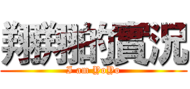 翔翔的實況 (I am YoYo)