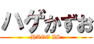 ハゲかずお (HAGE IS)