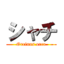 シャチ (Orcinus orca)