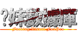 你妹數據庫 (Fucking Visual FoxPro)