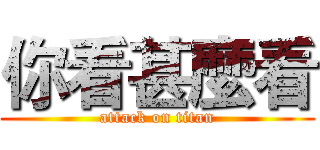 你看甚麼看 (attack on titan)